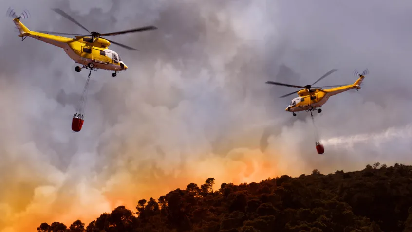 wildfires asthma triggers