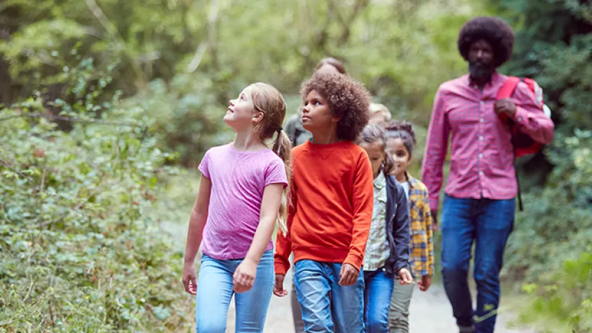 Male teacher walking with students in the forest while they look up at the trees