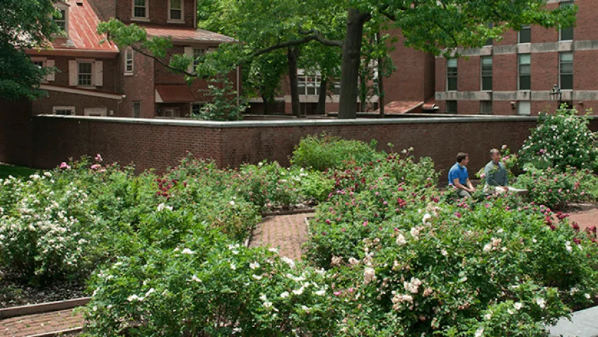 photo of independence national historical park rose garden