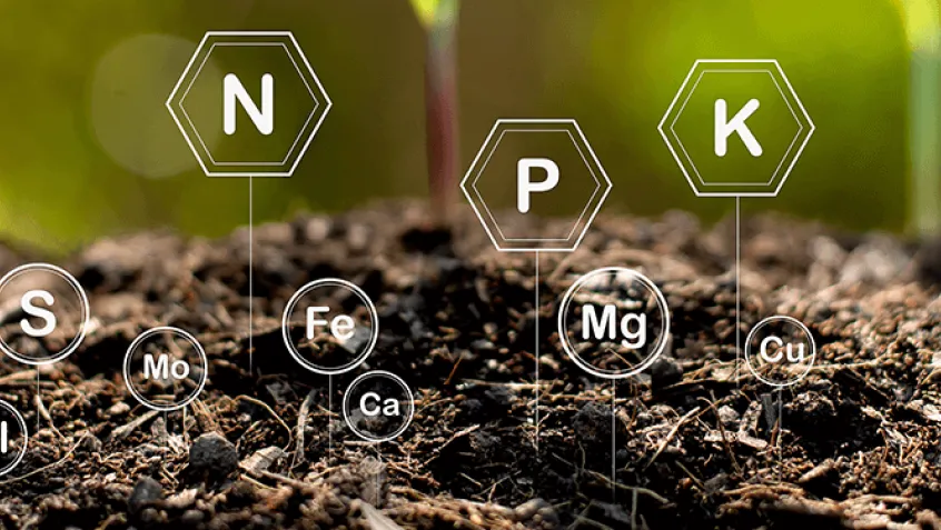 photo of soil overlayed with elemental symbols Mn, CI, S, N, Fe, Ca, P, Mg, K, Cu, Zn, B