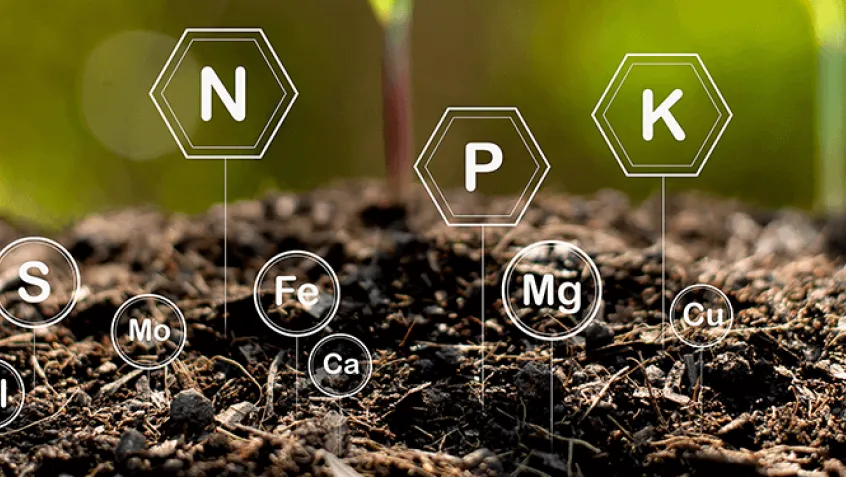 Healthy Soil Helps Your Garden Grow | The National Environmental Education  Foundation (NEEF)