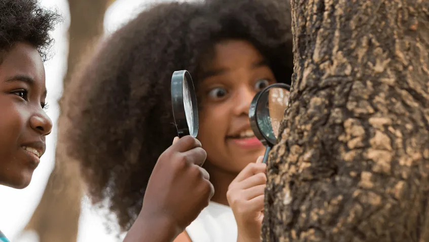 two children holding magnifying glasses and looking at a tree