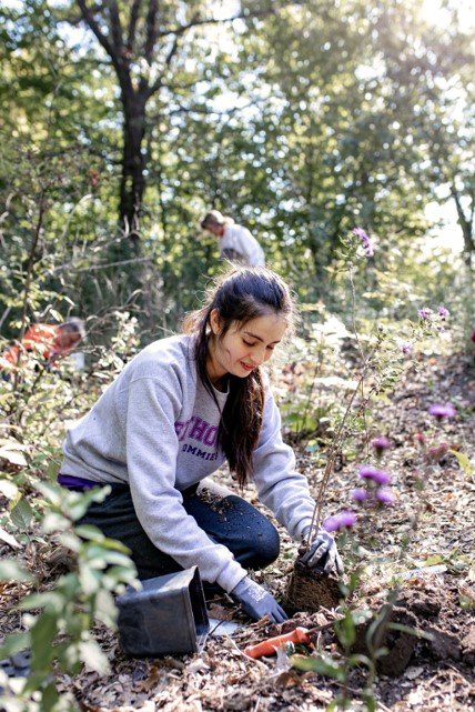 Young woman volunteering and planting native plants on National Public Lands Day