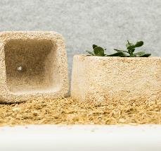 Packaging made from mycelium