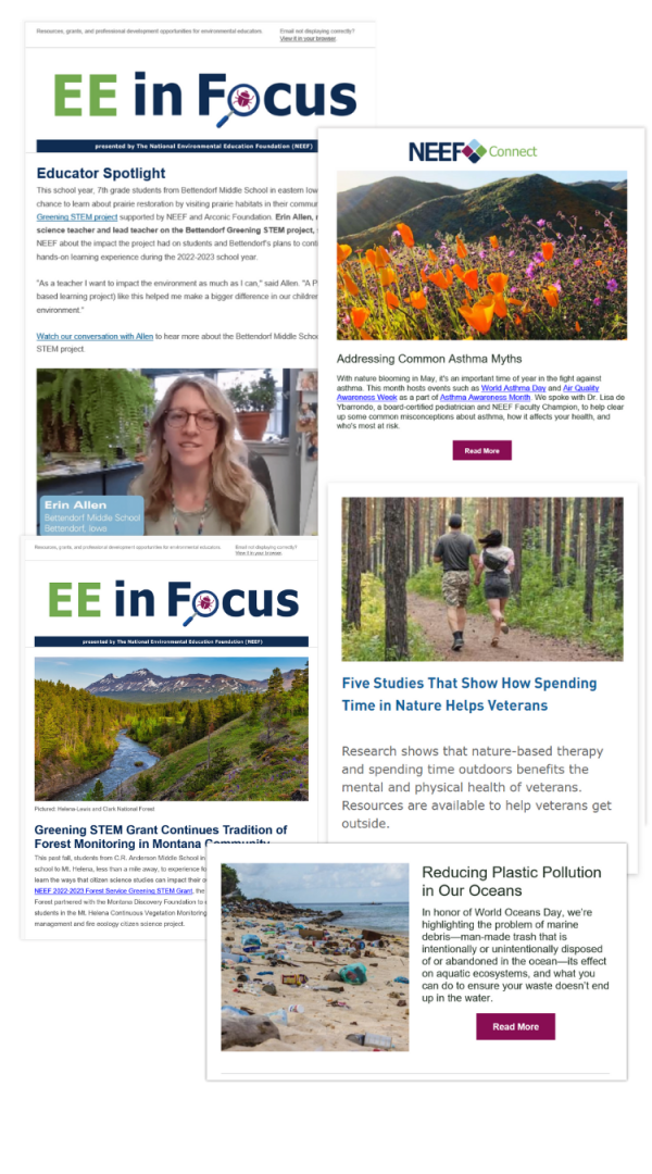 Collage of NEEF newsletters