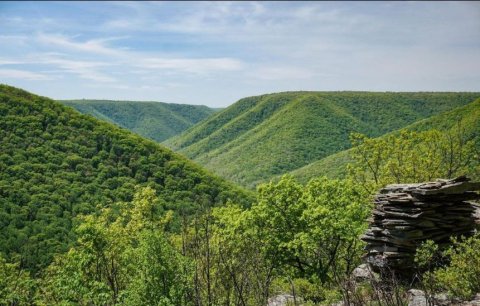 landscape view of green mountains