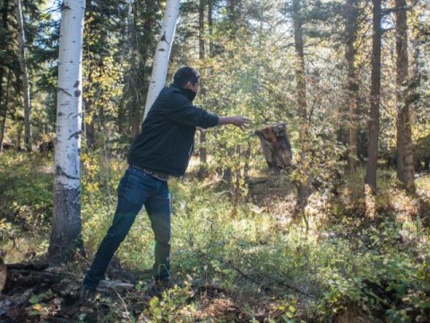a man throws a log in the forest during a cleanup