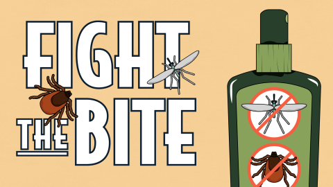 Fight the bite infographic from the CDC