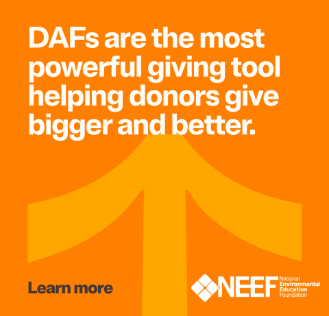 DAF social media image