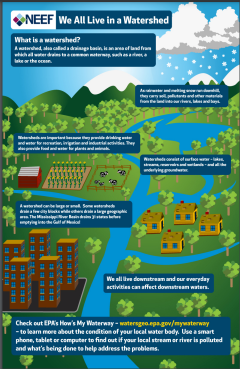 Watershed infographic thumbnail