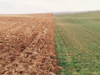 drought stricken land next to green grass