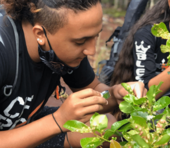 photo of male student inspecting plants with magnifying glass