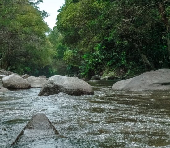 photo of a freshwater river running over rocks