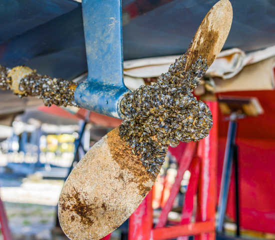 A boat propeller with zebra mussels on it