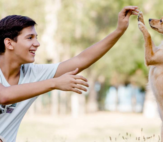 Teen boy playing with dog outdoors