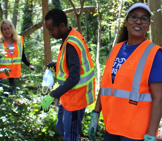 volunteers in reflector vest work weeding a forest area during national public lands day