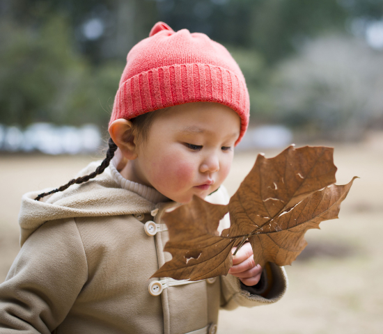 Young girl looking a large leaf from a tree