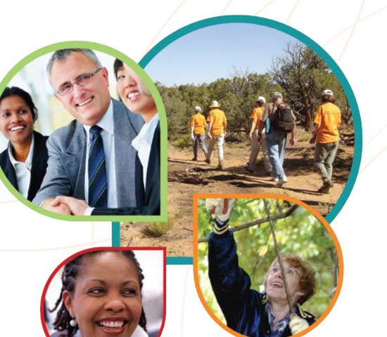 Collage of business people and people volunteering outdoors