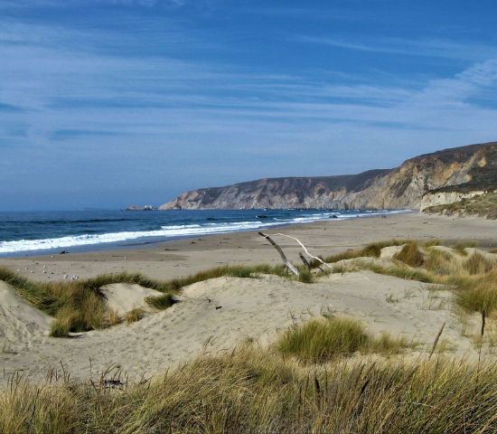 Point Reyes beach with waves washing in