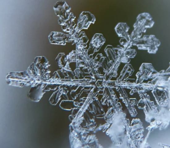 Snowflake close up