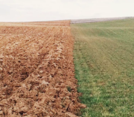 drought stricken land next to green grass