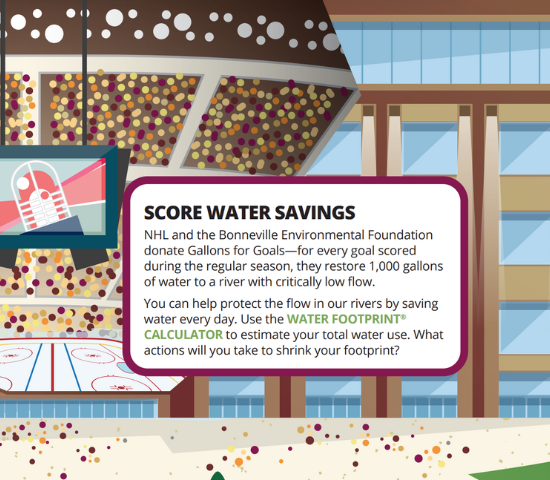 An Illustration of a hockey stadium with a box saying "Score Water Savings" in front of it.