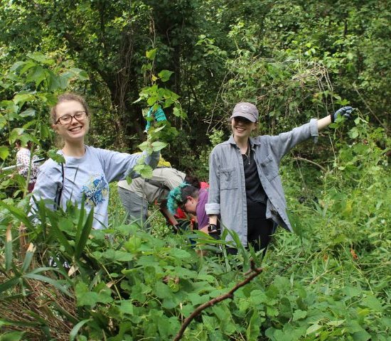 two volunteers hold up invasive plants they are collecting as part of an NPLD event