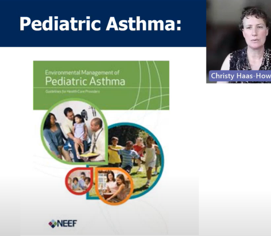 Screenshot of presentation and Christy Haas-Howard
