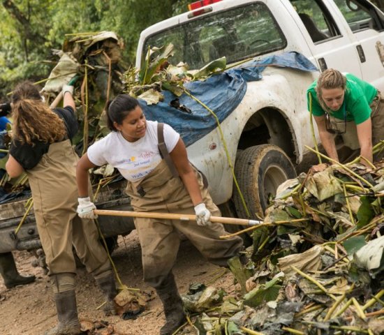 A group of volunteers wearing overalls and waders shovel a pile of invasive plants into the back of a National Park Service pickup truck to be hauled away