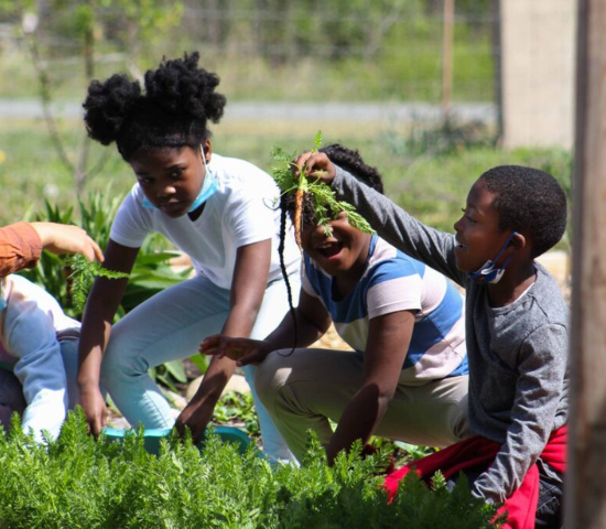 Children outdoors in a garden, one with freshly picked carrot in their hand looking at it and smiling