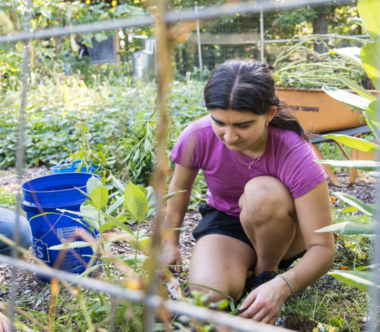 A man and woman are on their knees digging in a garden