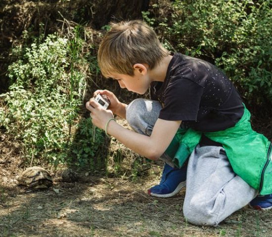 a boy uses a camera to photograph a turtle moving on the ground