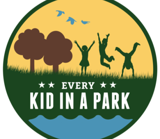 Every Kind in a Park