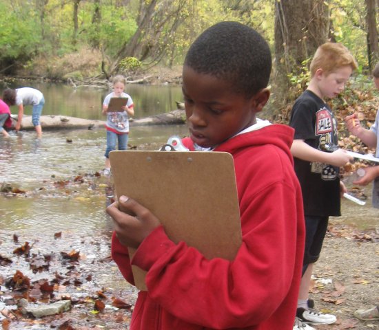 Children learning and observing at a creek bed