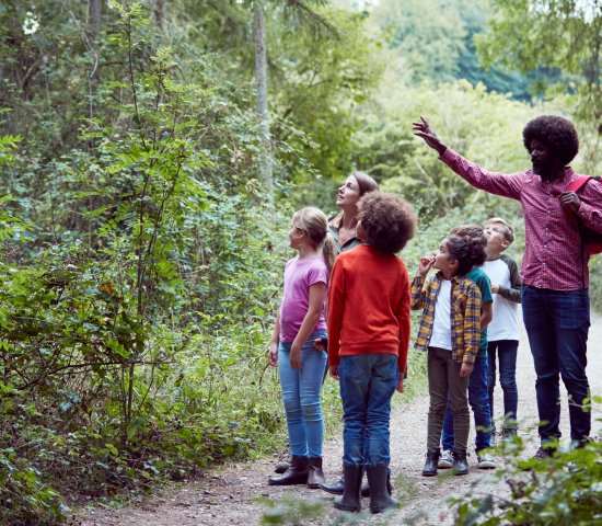 Classroom doing STEM education outdoors