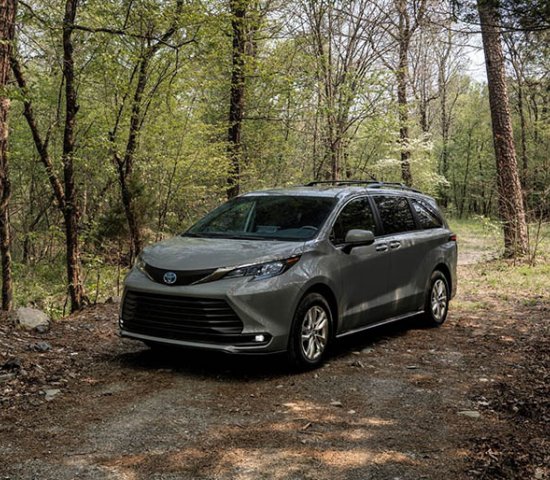 Toyota Sienna Woodland Special in a wooded scene