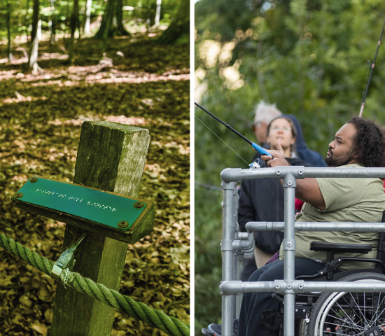 Photo collage of people in wheelchair in nature, braille on a sign and a sign with directions for hearing impaired