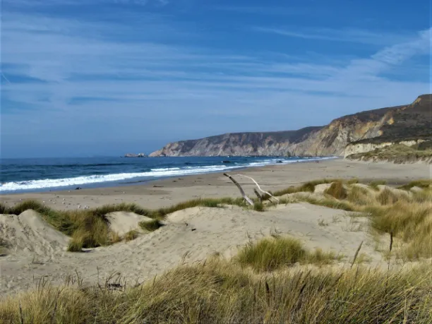 Point Reyes beach with waves washing in