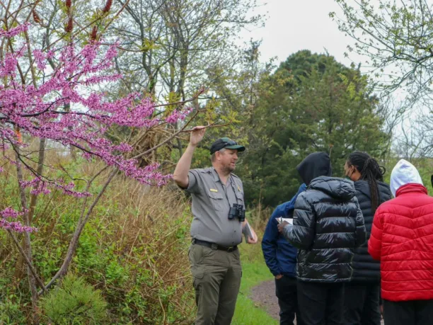a national park ranger explains a tree to a group of students as part of a Greening STEM project