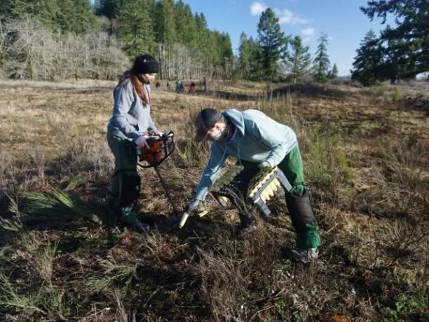 NPLD volunteers planting rare prairie/oak savanna flowers