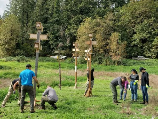 NPLD participants installing western purple martin towers in an ephemeral wetland