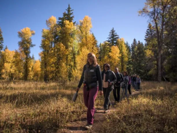 a diverse group of people take a hike through a autumn forest