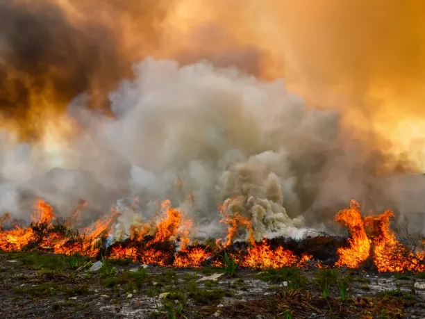 A raging wildfire with plumes of smoke