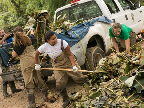 A group of volunteers wearing overalls and waders shovel a pile of invasive plants into the back of a National Park Service pickup truck to be hauled away