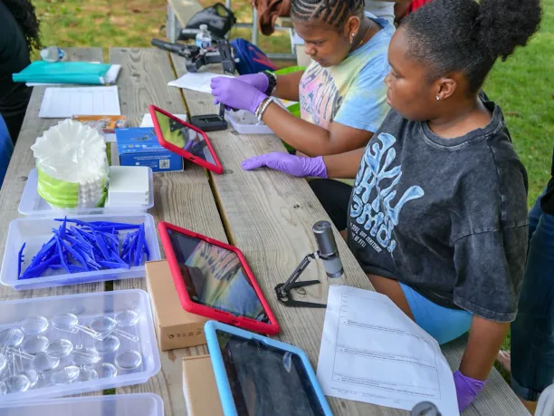 students analyze water sample using a variety of tools
