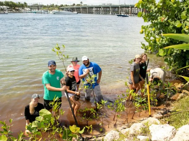 a group of young adults plants mangroves for shoreline conservation