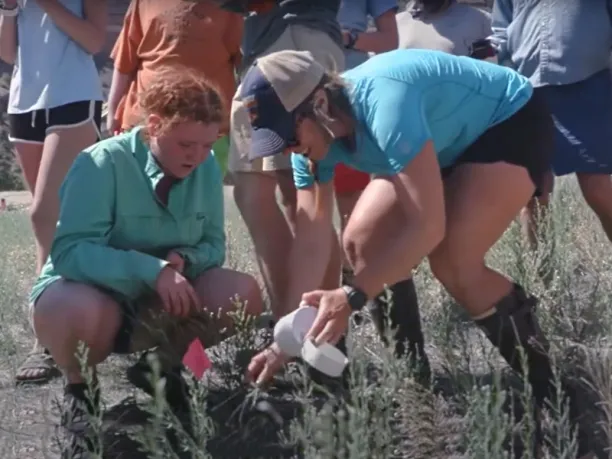 Student and educator outdoors looking at plants