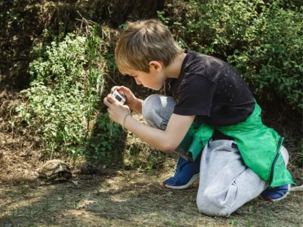a boy uses a camera to photograph a turtle moving on the ground