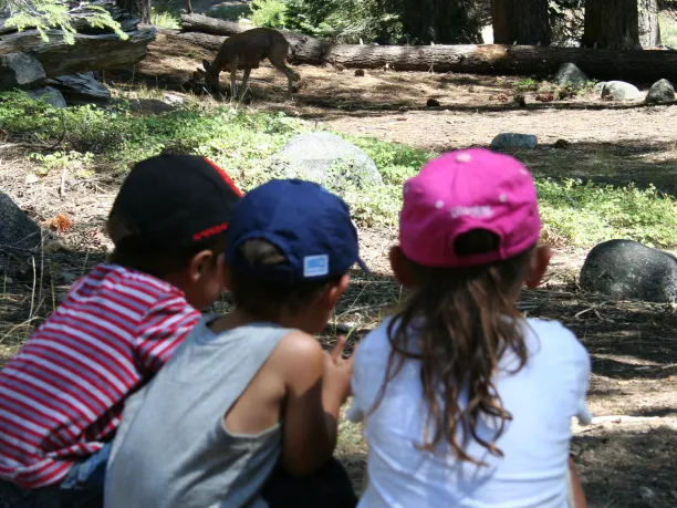 Children and Deer