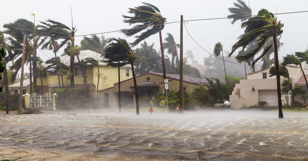 a flooded street and wind driven rain with swaying palm trees from Hurricane Irma